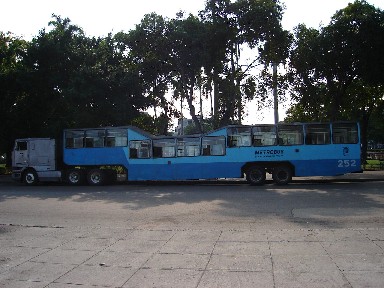20070725152239-metrobus.jpg